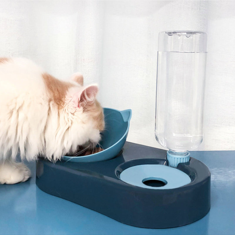Automatic water dispenser and food bowl